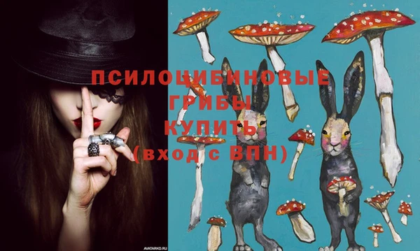 прущие крисы Гусиноозёрск