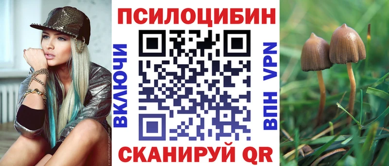 Псилоцибиновые грибы прущие грибы  Лыткарино 